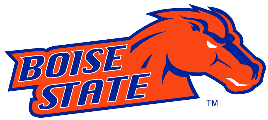 Boise State Broncos 2002-2012 Secondary Logo v25 diy DTF decal sticker